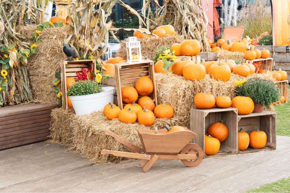 Fun Things to Do in the Greater Orlando Area this Fall